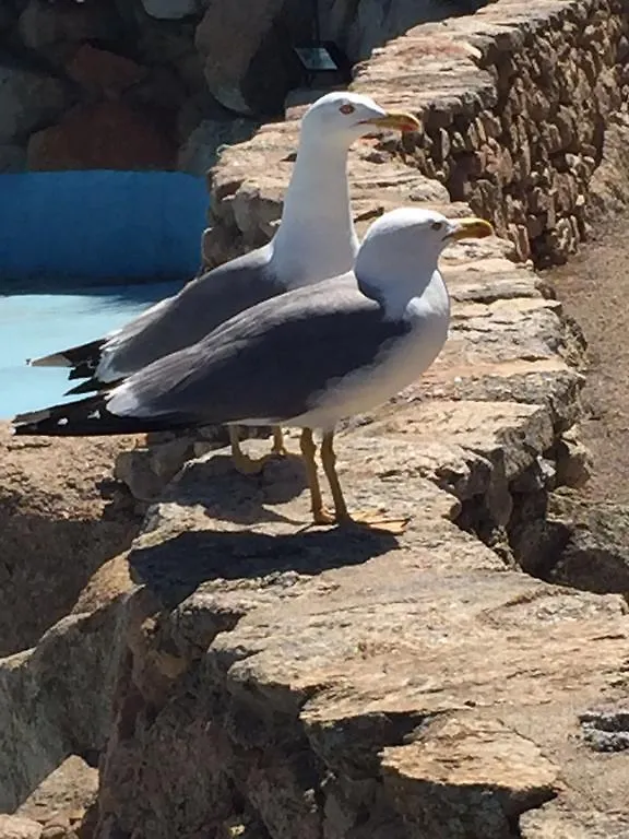 Villaggio La Marmorata Santa Teresa Gallura